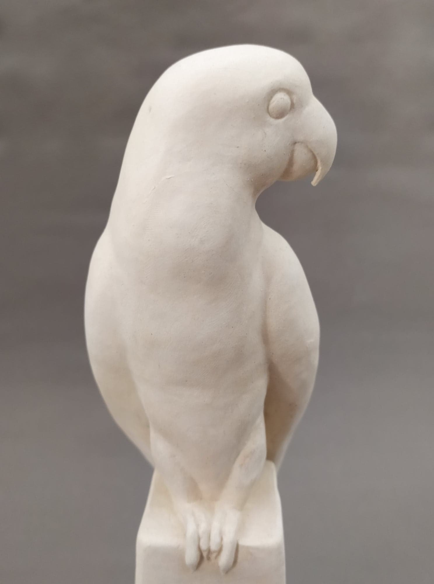 Sculpture / statue d'artiste Axelle Bourgeois à vendre / acheter / commander / copie et reproduction à Paris / France / Lille, en terre cuite / faïence / grès cérame / plâtre, sculpture d’un oiseau / perruche sur colonne moderne, inspiré de Pompon